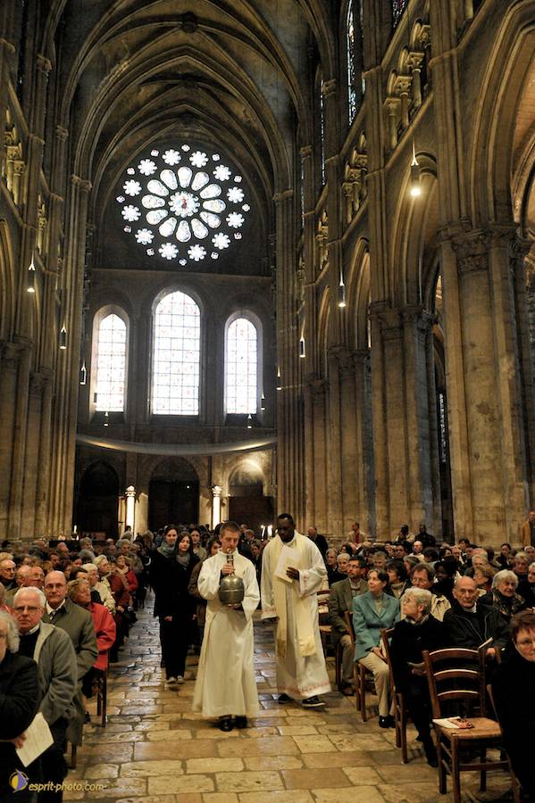 Nom de l'image : D30050319_1_1_(c)Norbert-JUNG — Description :